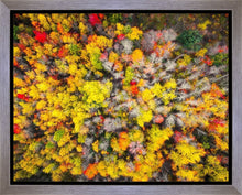 Load image into Gallery viewer, Sacred Grove Autumn From Heaven
