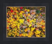 Load image into Gallery viewer, Sacred Grove Autumn From Heaven
