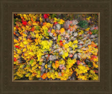 Load image into Gallery viewer, Sacred Grove Autumn From Heaven
