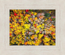 Load image into Gallery viewer, Sacred Grove Autumn From Heaven
