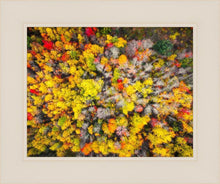 Load image into Gallery viewer, Sacred Grove Autumn From Heaven
