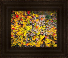 Load image into Gallery viewer, Sacred Grove Autumn From Heaven
