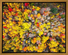 Load image into Gallery viewer, Sacred Grove Autumn From Heaven
