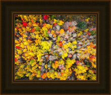 Load image into Gallery viewer, Sacred Grove Autumn From Heaven
