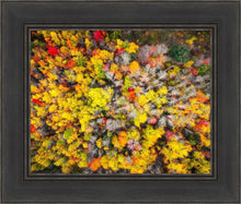 Load image into Gallery viewer, Sacred Grove Autumn From Heaven
