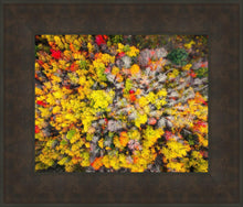 Load image into Gallery viewer, Sacred Grove Autumn From Heaven
