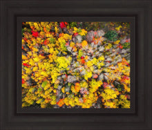Load image into Gallery viewer, Sacred Grove Autumn From Heaven
