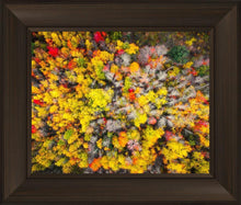 Load image into Gallery viewer, Sacred Grove Autumn From Heaven
