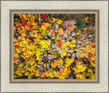 Load image into Gallery viewer, Sacred Grove Autumn From Heaven
