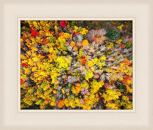 Load image into Gallery viewer, Sacred Grove Autumn From Heaven
