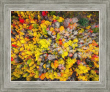 Load image into Gallery viewer, Sacred Grove Autumn From Heaven
