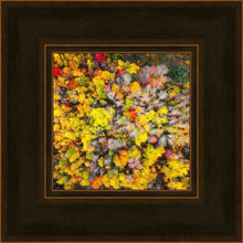 Load image into Gallery viewer, Sacred Grove Autumn From Heaven
