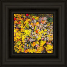 Load image into Gallery viewer, Sacred Grove Autumn From Heaven
