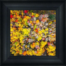 Load image into Gallery viewer, Sacred Grove Autumn From Heaven
