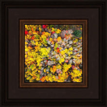Load image into Gallery viewer, Sacred Grove Autumn From Heaven
