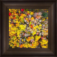 Load image into Gallery viewer, Sacred Grove Autumn From Heaven
