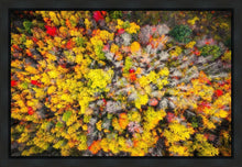 Load image into Gallery viewer, Sacred Grove Autumn From Heaven
