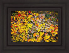 Load image into Gallery viewer, Sacred Grove Autumn From Heaven
