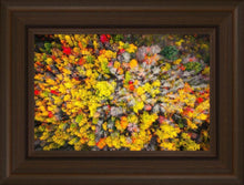 Load image into Gallery viewer, Sacred Grove Autumn From Heaven
