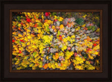 Load image into Gallery viewer, Sacred Grove Autumn From Heaven
