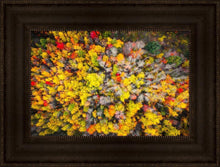 Load image into Gallery viewer, Sacred Grove Autumn From Heaven

