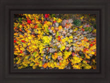Load image into Gallery viewer, Sacred Grove Autumn From Heaven
