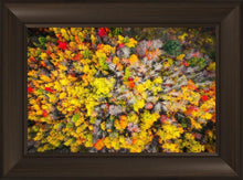 Load image into Gallery viewer, Sacred Grove Autumn From Heaven
