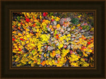 Load image into Gallery viewer, Sacred Grove Autumn From Heaven
