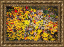 Load image into Gallery viewer, Sacred Grove Autumn From Heaven
