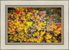 Load image into Gallery viewer, Sacred Grove Autumn From Heaven
