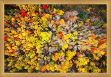 Load image into Gallery viewer, Sacred Grove Autumn From Heaven

