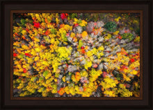 Load image into Gallery viewer, Sacred Grove Autumn From Heaven
