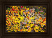 Load image into Gallery viewer, Sacred Grove Autumn From Heaven
