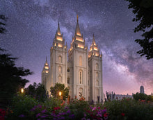 Load image into Gallery viewer, Salt Lake Celestial
