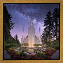 Load image into Gallery viewer, Portland Celestial
