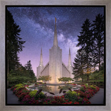Load image into Gallery viewer, Portland Celestial
