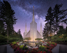 Load image into Gallery viewer, Portland Celestial
