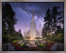 Load image into Gallery viewer, Portland Celestial
