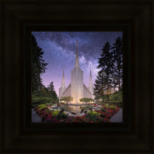 Load image into Gallery viewer, Portland Celestial
