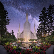 Load image into Gallery viewer, Portland Celestial

