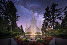 Load image into Gallery viewer, Portland Celestial
