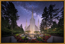 Load image into Gallery viewer, Portland Celestial

