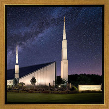 Load image into Gallery viewer, Boise Celestial
