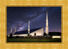 Load image into Gallery viewer, Boise Celestial
