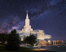 Load image into Gallery viewer, Bountiful Celestial
