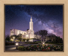 Load image into Gallery viewer, Los Angeles Celestial
