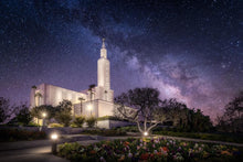 Load image into Gallery viewer, Los Angeles Celestial
