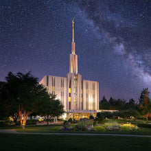 Load image into Gallery viewer, Seattle Celestial
