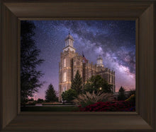 Load image into Gallery viewer, Logan Celestial
