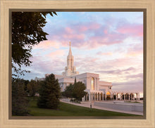 Load image into Gallery viewer, Bountiful Pastel Light
